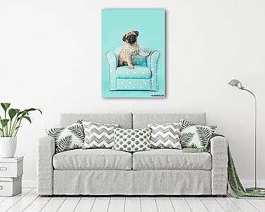 Aranyos ülő fiatal mopsz kutya nézte a kamerát sititng egy bl (vászonkép) - vászonkép, falikép otthonra és irodába