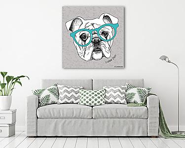 Image the portrait of a bulldog in the glasses. Vector illustrat (vászonkép) - vászonkép, falikép otthonra és irodába