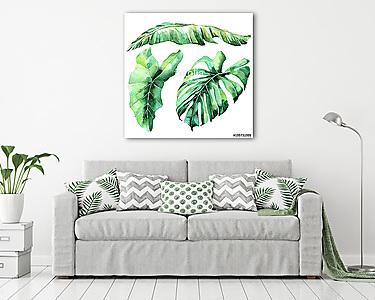Tropical watercolor leaves set (vászonkép) - vászonkép, falikép otthonra és irodába