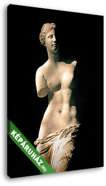 Miloi Venusz - vászonkép 3D látványterv