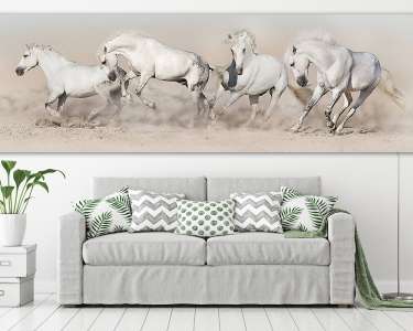 A fehér lóállomány sivatagi porban fut. Világos panoráma a weben (vászonkép) - vászonkép, falikép otthonra és irodába