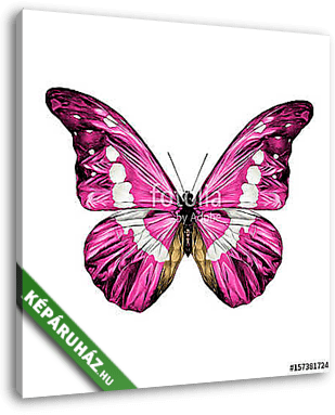 pink butterfly with white spots on the wings of the symmetric to - vászonkép 3D látványterv