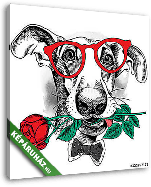 Portrait of a funny dog in glasses and tie with red rose. Vector - vászonkép 3D látványterv