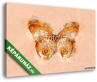 Watercolor butterfly.  - vászonkép 3D látványterv