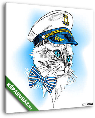 Portrait cat in a sailor's cap and tie on blue background. Vecto - vászonkép 3D látványterv