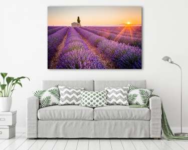 Valensole, Provence, Franciaország. Lavender mező tele lila flow (vászonkép) - vászonkép, falikép otthonra és irodába