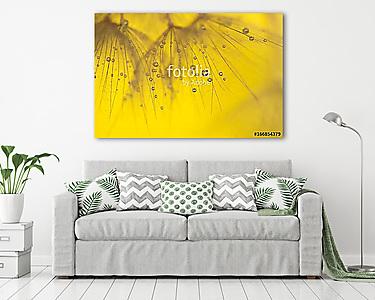 Abstract macro of dandelion with water drops. Gold drops on dand (vászonkép) - vászonkép, falikép otthonra és irodába