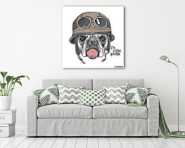 The image Portrait of the dog Bulldog in the motorcyclist helmet (vászonkép) - vászonkép, falikép otthonra és irodába