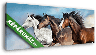 Vágtató lovak - vászonkép 3D látványterv
