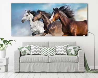Vágtató lovak (vászonkép) - vászonkép, falikép otthonra és irodába