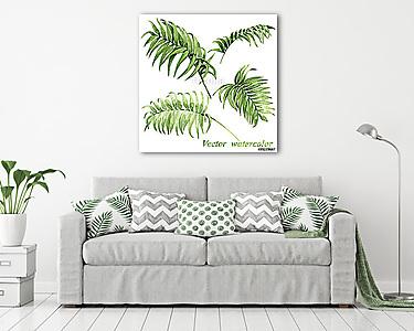 Watercolor palm leaves isolated on white. (vászonkép) - vászonkép, falikép otthonra és irodába
