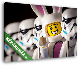LEGO  Star Wars - Hello! - vászonkép 3D látványterv
