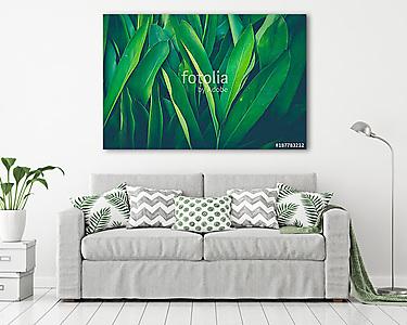 Friss trópusi zöld levelek (vászonkép) - vászonkép, falikép otthonra és irodába