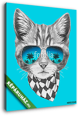 Hand drawn portrait of Cat with mirror sunglasses and scarf. Vec - vászonkép 3D látványterv