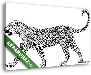 Leopard in black interpretation 2 - vászonkép 3D látványterv