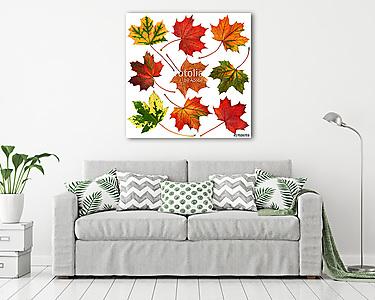 Őszi levelek gyűjtemény elszigetelt fehér háttérrel (vászonkép) - vászonkép, falikép otthonra és irodába