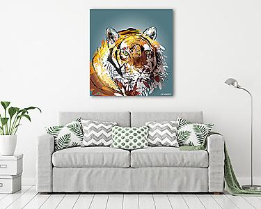 Színes vektoros illusztráció fej tigris (vászonkép) - vászonkép, falikép otthonra és irodába