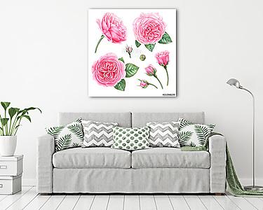 Hand painted botanical illustration of pink roses, buds and leav (vászonkép) - vászonkép, falikép otthonra és irodába