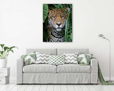 Jaguar in Amazon Forest (vászonkép) - vászonkép, falikép otthonra és irodába