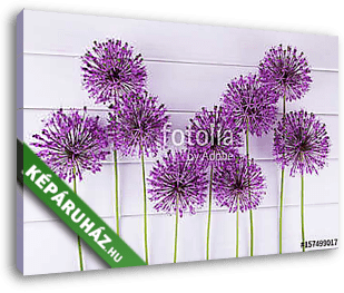 Lila hagymavirágok - vászonkép 3D látványterv