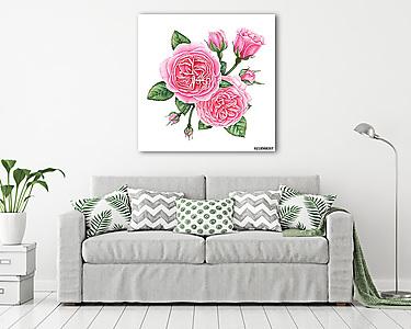 Floral composition of pink english roses, buds and leaves isolat (vászonkép) - vászonkép, falikép otthonra és irodába