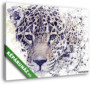 Leopard Portrait Watercolor - vászonkép 3D látványterv