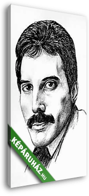 Freddie Mercury portré - vászonkép 3D látványterv