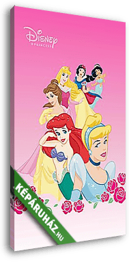 Disney hercegnők  - vászonkép 3D látványterv