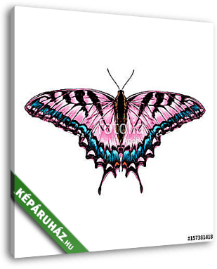pink butterfly with blue pattern on the wings of the symmetric t - vászonkép 3D látványterv