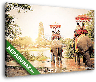 Elefántok Ayutthayában - vászonkép 3D látványterv