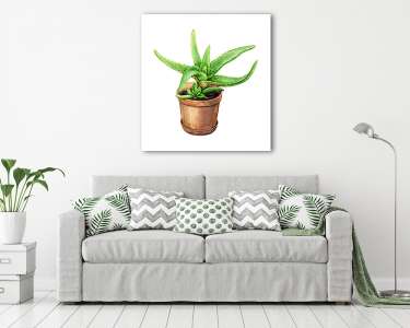 Aloe Vera agyag virágcserépben. (vászonkép) - vászonkép, falikép otthonra és irodába