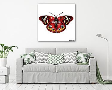 butterfly with open wings top view of symmetry, sketch the graph (vászonkép) - vászonkép, falikép otthonra és irodába