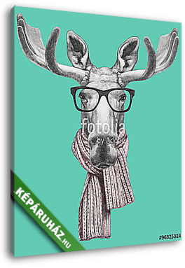 Portrait of Moose with glasses and scarf. Hand drawn illustratio - vászonkép 3D látványterv