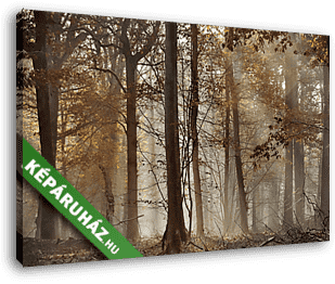 őszi erdő a ködben - vászonkép 3D látványterv
