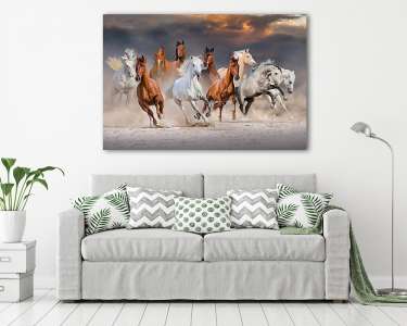 A lóállomány a sivatagi porban gyorsan fut a drámai naplemente é (vászonkép) - vászonkép, falikép otthonra és irodába
