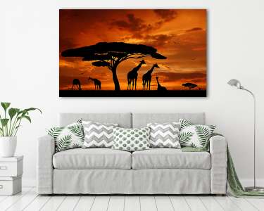 a zsiráfok állománya a napsütésben (vászonkép) - vászonkép, falikép otthonra és irodába
