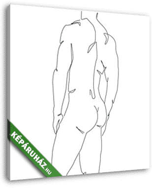 Férfi test (vonalrajz, line art) - vászonkép 3D látványterv