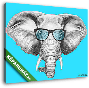 Portrait of Elephant with glasses. Hand drawn illustration. - vászonkép 3D látványterv