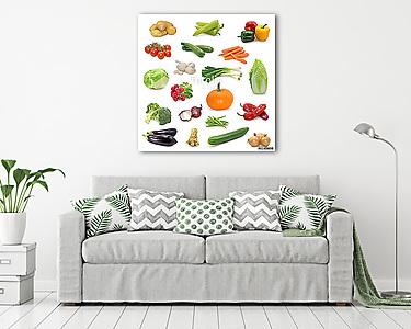 zöldséggyűjtemény fehér alapon (vászonkép) - vászonkép, falikép otthonra és irodába