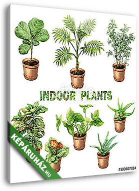 Watercolor Indoor Pot Plants - vászonkép 3D látványterv