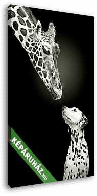Hasonló állatok - vászonkép 3D látványterv