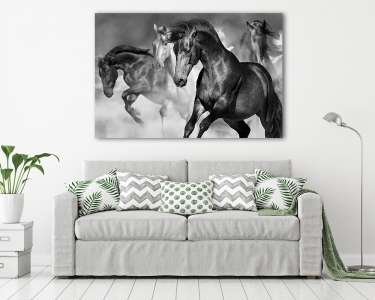 Lóverseny a sivatagi porban mozgó állományban. Fekete-fehér kép. (vászonkép) - vászonkép, falikép otthonra és irodába