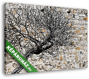Pihenő fa a kőfal előtt (festményhatású kép) - vászonkép 3D látványterv