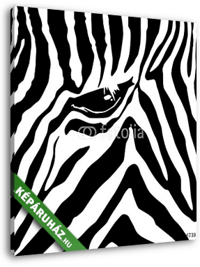 Zebra minta - vászonkép 3D látványterv
