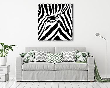 Zebra minta (vászonkép) - vászonkép, falikép otthonra és irodába