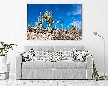 Hegyvidéki táj kaktuszokkal (vászonkép) - vászonkép, falikép otthonra és irodába