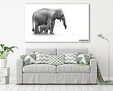 Afrikai elefánt kicsinyével fekete-fehérben (vászonkép) - vászonkép, falikép otthonra és irodába