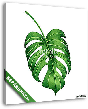 Watercolor painting tropical green leaves,palm leaf isolated on  - vászonkép 3D látványterv