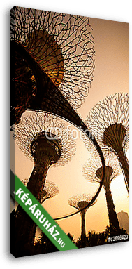 Supertree sziluettje a kertben az öbölnél - vászonkép 3D látványterv