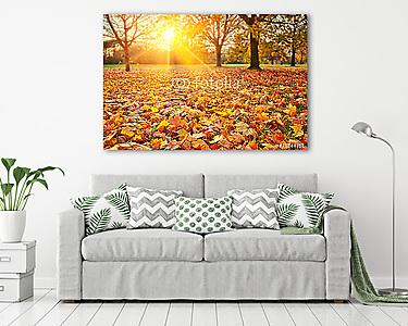 Napos őszi lombozat (vászonkép) - vászonkép, falikép otthonra és irodába